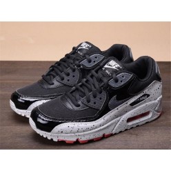 NIKE AIR MAX 90 325213-031