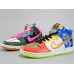 NIKE DUNK HIGH SB WHAT THE DOERNBECHER