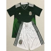 MEXICO HOME YOUTH 2018 FIFA WORLD CUP THAILAND SOCCER JERSEY