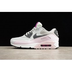 NIKE WMNS AIR MAX 90 ESSENTIAL PURE PLATINUM DARK GREY LILAC 616730-112