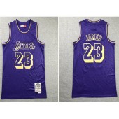 Los Angeles Lakers #23 Lebron James Purple 2008-19 Hardwood Classics Jersey