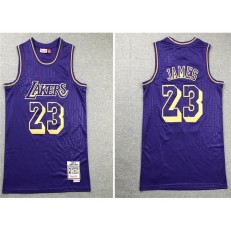 Los Angeles Lakers #23 Lebron James Purple 2008-19 Hardwood Classics Jersey