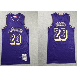 Los Angeles Lakers #23 Lebron James Purple 2008-19 Hardwood Classics Jersey