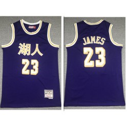 Los Angeles Lakers #23 Lebron James Purple Hardwood Classics 2019 Chinese New Year Swingman Jersey
