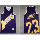Los Angeles Lakers #23 Lebron James Purple Hardwood Classics Jersey