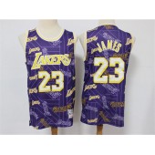 Los Angeles Lakers #23 Lebron James Purple Tear Up Pack Hardwood Classics Swingman Jersey