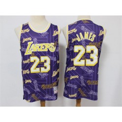 Los Angeles Lakers #23 Lebron James Purple Tear Up Pack Hardwood Classics Swingman Jersey