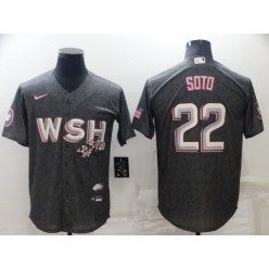 MLB Washington Nationals #22 Juan Soto Gray Nike 2022 City Connect Cool Base Jersey