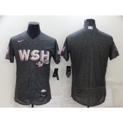 MLB Washington Nationals Blank Gray Nike 2022 City Connect Flexbase Jersey