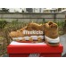 NIKE AIR MORE UPTEMPO FLAX