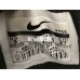 NIKE AIR MORE MONEY 96 QS GET MONEY AJ2998-003