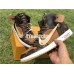 OFF-LOUIS AIR JORDAN 1