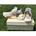 ADIDAS PW HU NMD HAPPY F99762