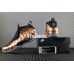 NIKE AIR FOAMPOSITE ONE COPPER 314996-007