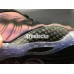 NIKE AIR FOAMPOSITE ONE EGGPLANT 314996-008