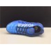 NIKE AIR VAPORMAX PLUS TN PHOTO BLUE 924453-401