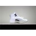 KID'S AIR JORDAN 12 BARONS