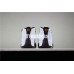 KID'S AIR JORDAN 12 TAXI