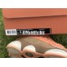 CLOT x AIR JORDAN 13 LOW TERRACOTTA WARRIORS AT3102-200