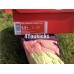 NIKE W AIR MORE UPTEMPO TRI-COLOR TINT AV8237-800