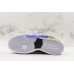 NIKE SB DUNK LOW PRO RAYGUN HOME 304292-802