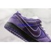 CONCEPTS X NIKE SB DUNK LOW PRM PURPLE LOBSTER BV1310-555