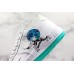 NIKE AIR FORCE 1 LOW EARTH DAY CI5545-100