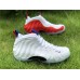 Nike Air Foamposite One USA AA3963-102