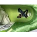 STRANGE LOVE x NIKE SB DUNK LOW PRO GREEN CT2552-300