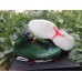 AIR JORDAN 6 RETRO CHAMPAGNE