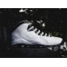AIR JORDAN 10 RETRO STEEL