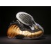 NIKE AIR FOAMPOSITE ONE METALLIC GOLD