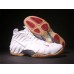NIKE AIR FOAMPOSITE PRO WINTER WHITE