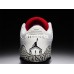 AIR JORDAN 3 RETRO 2011 RELEASE WHITE
