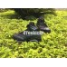 AIR JORDAN 6 RETRO AS ALL STAR