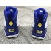 AIR JORDAN 9 RETRO KOBE BRYANT PE