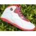 AIR JORDAN 10 RETRO CHICAGO