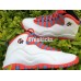 AIR JORDAN 10 RETRO CHICAGO
