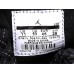 AIR JORDAN 11 FUTURE PREMIUM