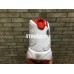 AIR JORDAN 13 RETRO HISTORY OF FLIGHT