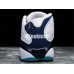 AIR JORDAN 13 RETRO LOW HORNETS