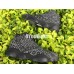 AIR JORDAN 13 RETRO PSNY