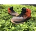AIR JORDAN 31 SHATTERED BACKBOARD