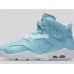AIR JORDAN 6 RETRO GG (GS) PANTONE