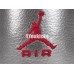 AIR JORDAN 6 RETRO GG (GS) VALENTINES DAY