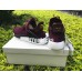 ADIDAS PW HUMAN RACE NMD PURPLE BB0617