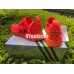ADIDAS NMD X LV SUP RED