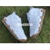 NIKE AIR MORE UPTEMPO WHITE GUM