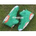 AIR JORDAN 6 RETRO GATORADE GREEN TEAM ORANGE
