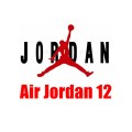 Air Jordan 12